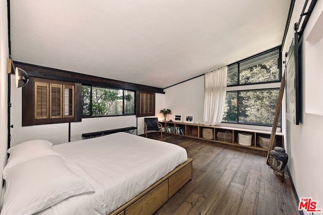 bedroom featuring dark hardwood / wood-style flooring and multiple windows