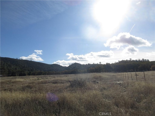5095 Konocti Rd, Kelseyville, CA 95451 - photo 10