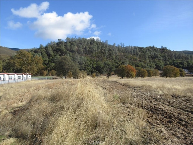 5095 Konocti Rd, Kelseyville, CA 95451 - photo 6