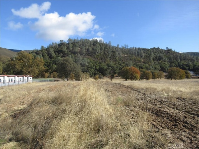 5095 Konocti Rd, Kelseyville, CA 95451 - photo 13