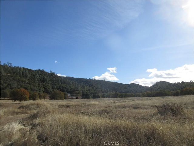 5095 Konocti Rd, Kelseyville, CA 95451 - photo 11