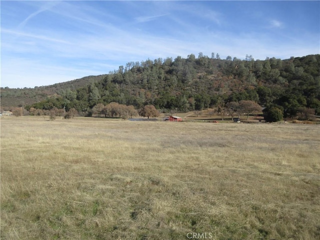 5095 Konocti Rd, Kelseyville, CA 95451 - photo 5