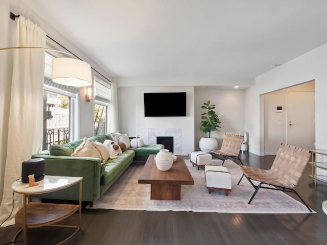 living room featuring hardwood / wood-style flooring and a premium fireplace