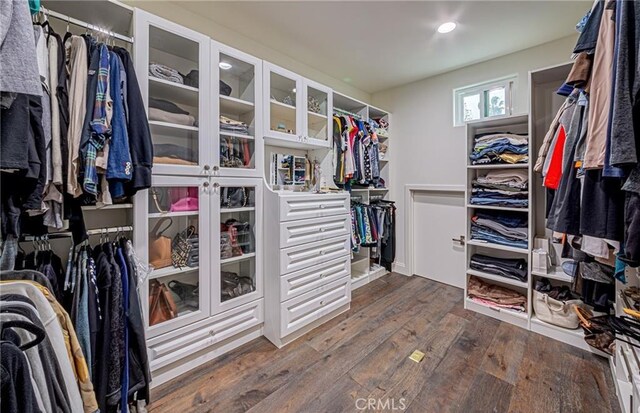 walk in closet featuring dark wood-type flooring