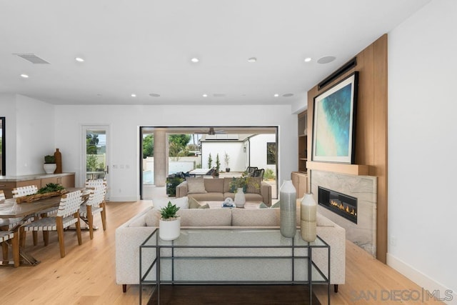 living room with a premium fireplace and light hardwood / wood-style flooring