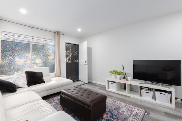 living room with wood-type flooring