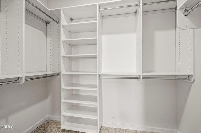 walk in closet with carpet floors