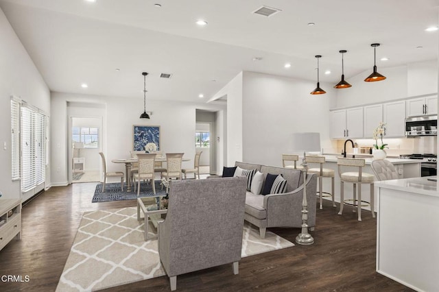 living room featuring dark wood-type flooring and sink