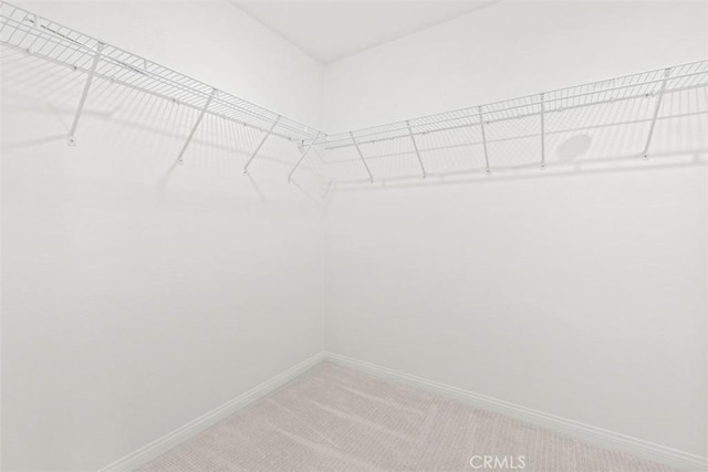 walk in closet featuring light colored carpet