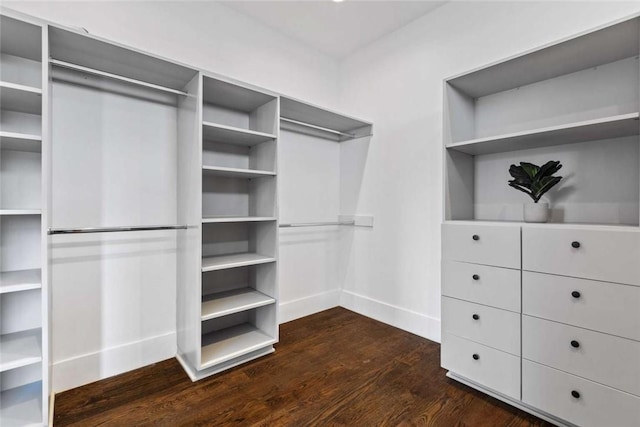 spacious closet with dark hardwood / wood-style floors