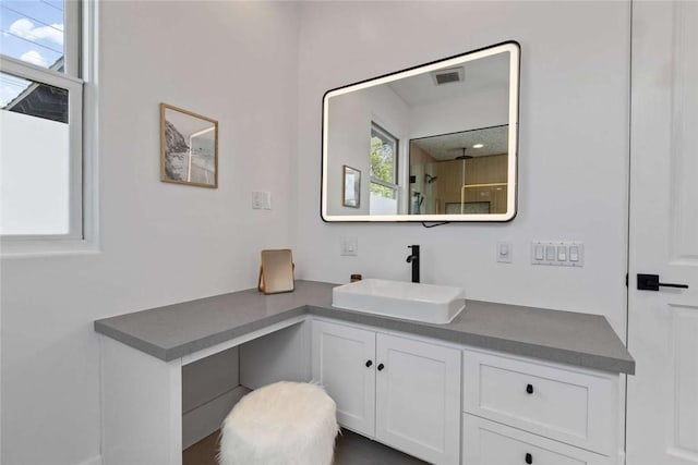 bathroom with vanity