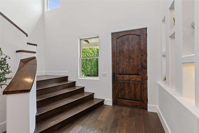 foyer entrance featuring dark wood-type flooring