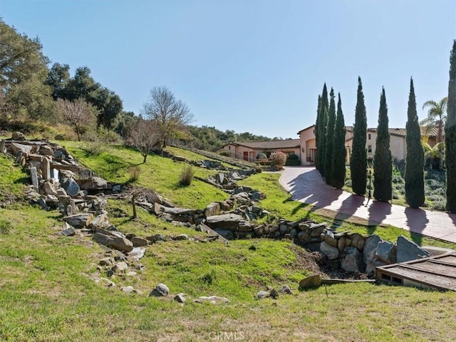 1450 Sugar Bush Ct, Arroyo Grande, CA 93420 - view of yard