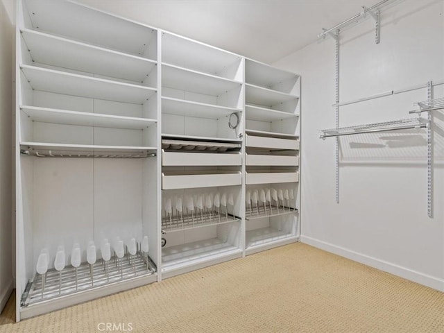 walk in closet featuring carpet flooring