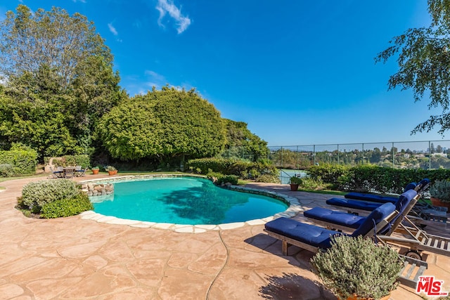 view of pool featuring a patio