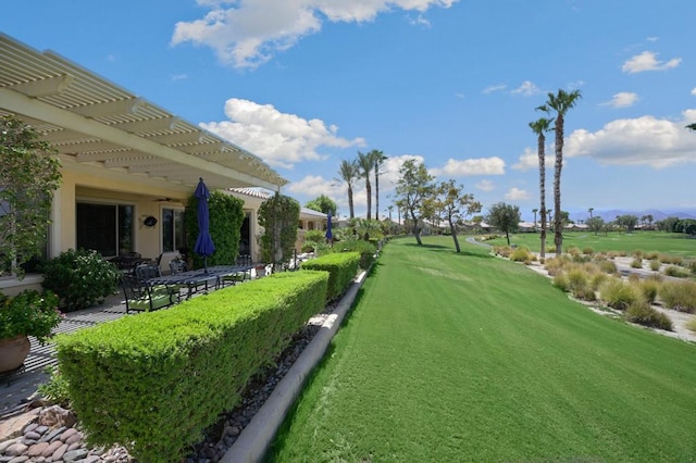 view of yard with a pergola