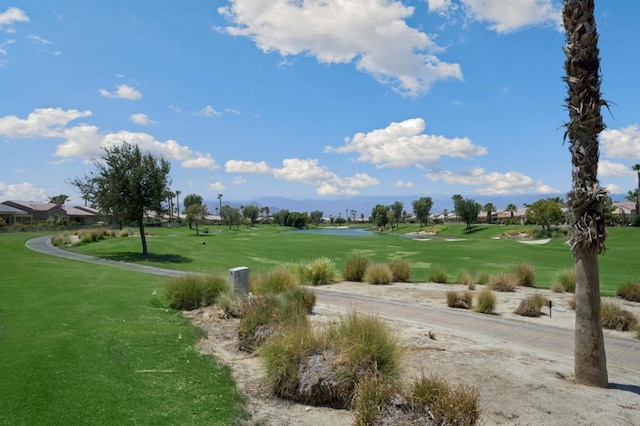 view of property's community with a yard