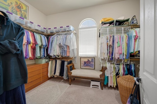 spacious closet featuring light carpet