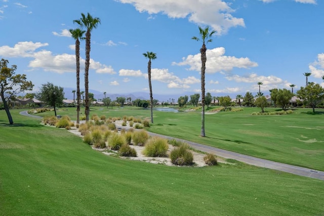 view of property's community featuring a lawn