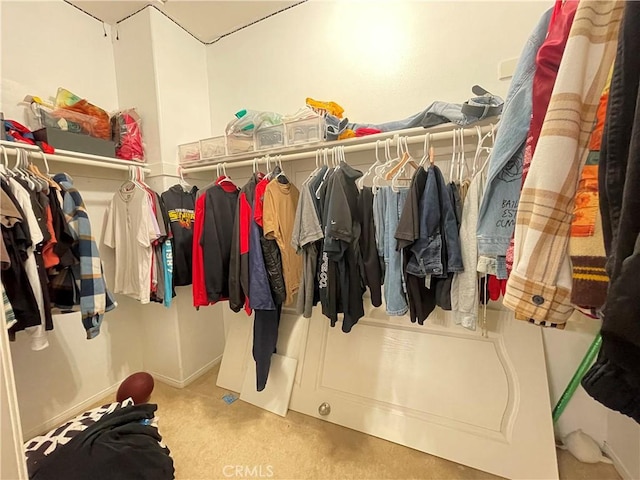 spacious closet featuring light colored carpet