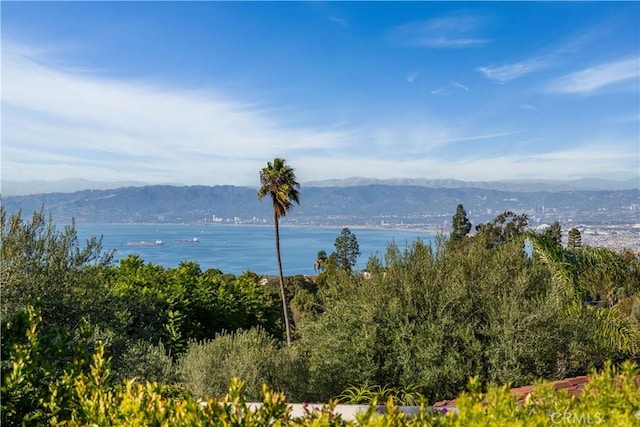 property view of water featuring a mountain view