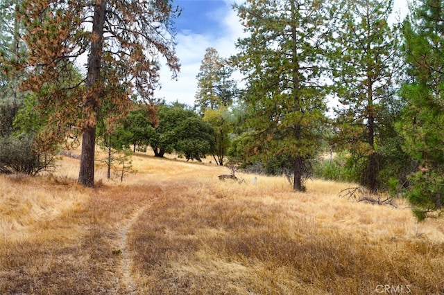 Listing photo 3 for 4959 Sierra Pines Dr, Mariposa CA 95338