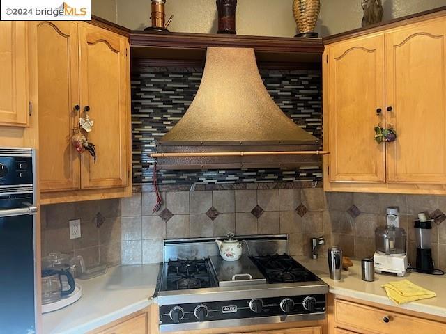 kitchen with decorative backsplash, custom range hood, and appliances with stainless steel finishes