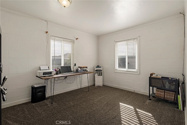 carpeted office with a healthy amount of sunlight and crown molding