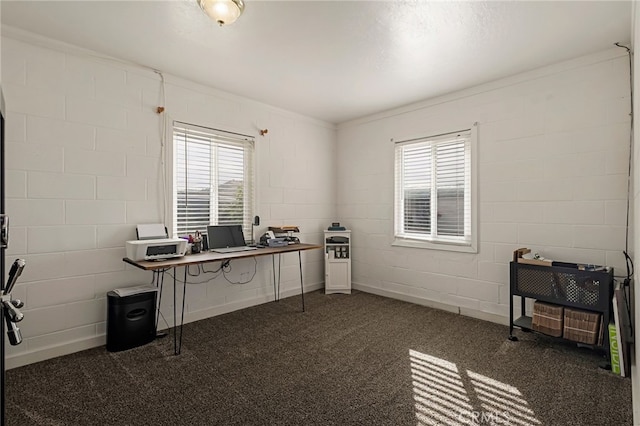 office space with carpet floors, concrete block wall, and plenty of natural light