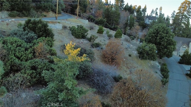 Listing photo 2 for 935 Sonoma Dr, Lake Arrowhead CA 92352