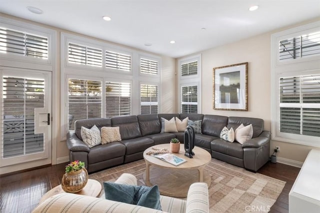 living room featuring dark hardwood / wood-style flooring