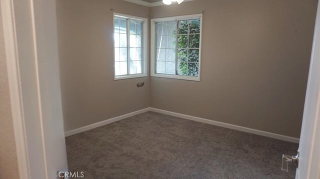 empty room with baseboards and carpet