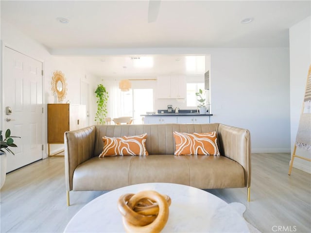 living room featuring light hardwood / wood-style flooring