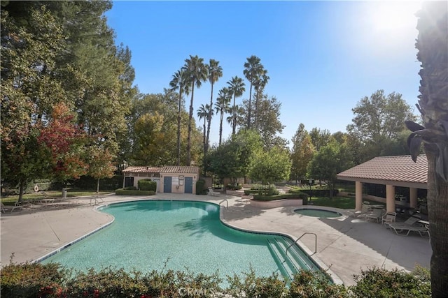 view of pool featuring a patio