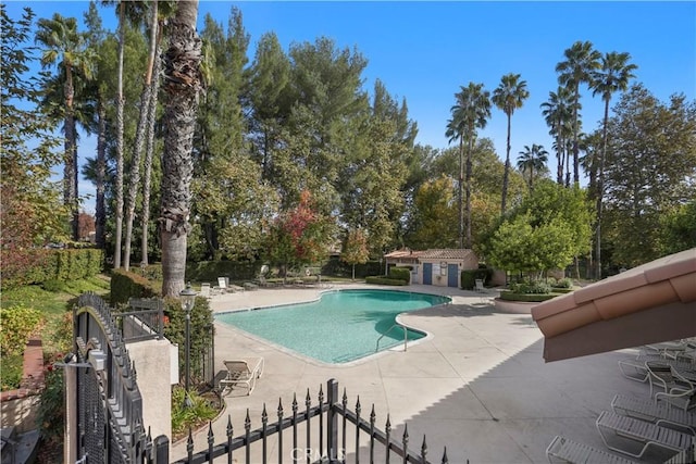 view of pool featuring a patio