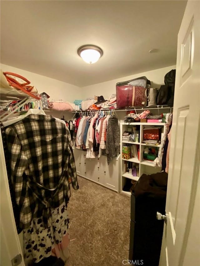 walk in closet with dark colored carpet