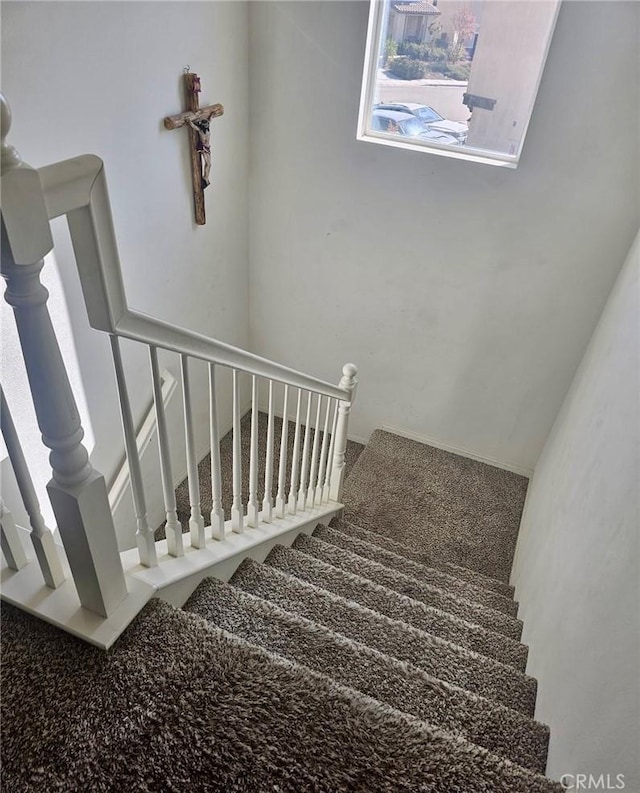 staircase with carpet flooring