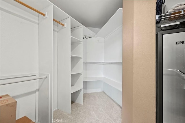 spacious closet featuring light colored carpet