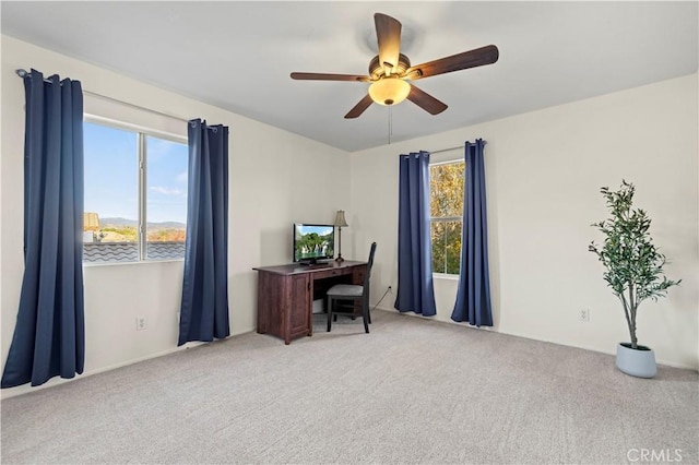 carpeted office featuring ceiling fan