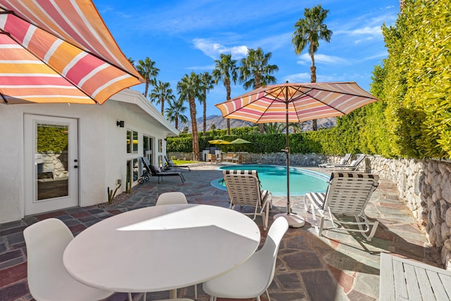 view of pool featuring a patio area