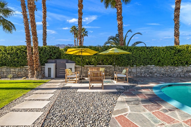 view of pool featuring exterior kitchen and a patio