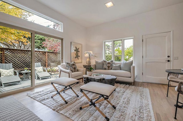 living room featuring light hardwood / wood-style floors