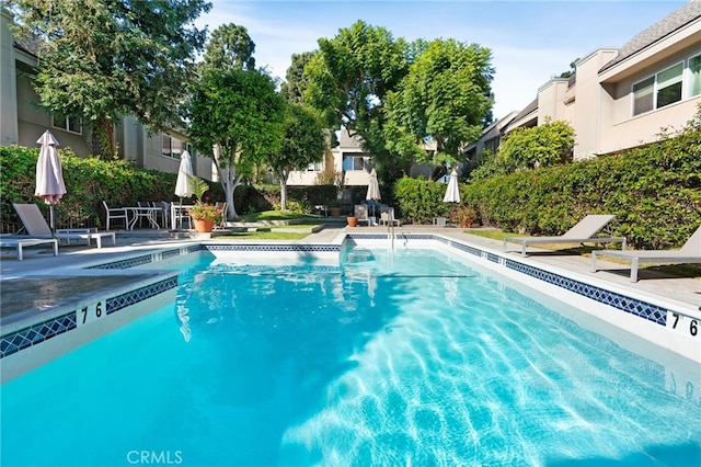 view of swimming pool with a patio area