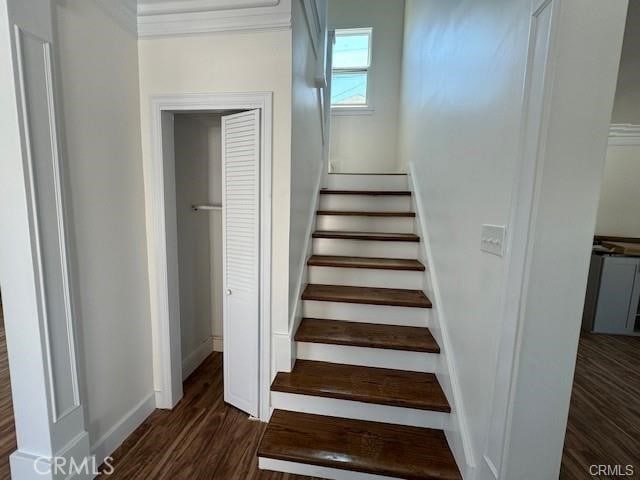 staircase featuring ornamental molding and hardwood / wood-style flooring