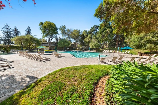 view of pool with a patio