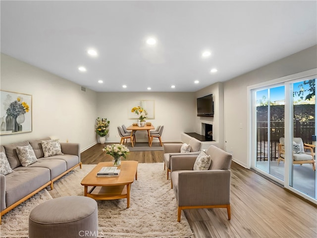 living room featuring light hardwood / wood-style flooring