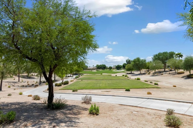 view of property's community with a yard