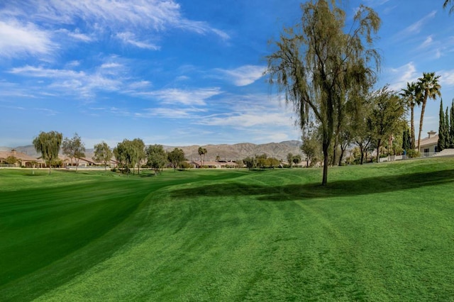 view of community featuring a lawn and a mountain view