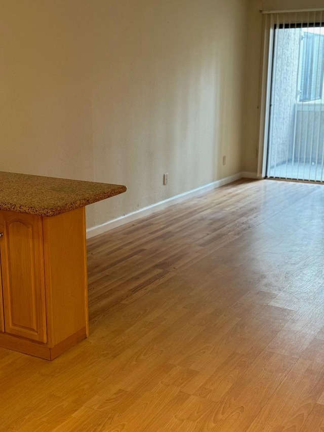 unfurnished living room with light hardwood / wood-style flooring