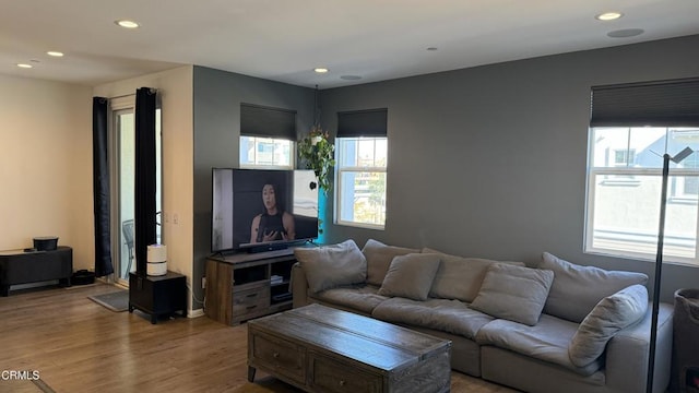 living room with light hardwood / wood-style floors